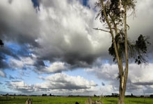 莱比锡战胜对手，稳固联赛前列位置