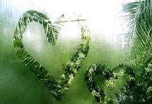 团结奋进，尽展实力一雪前耻