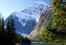 团结奋进，尽展实力一雪前耻