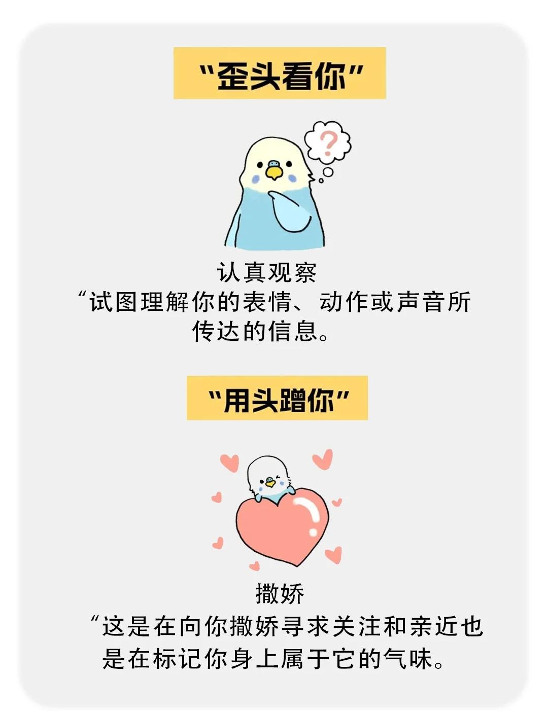 b体育 官网-包含子宇被打脸？韩旭：不要被影响情绪和心态很多人会对她做小动作的词条