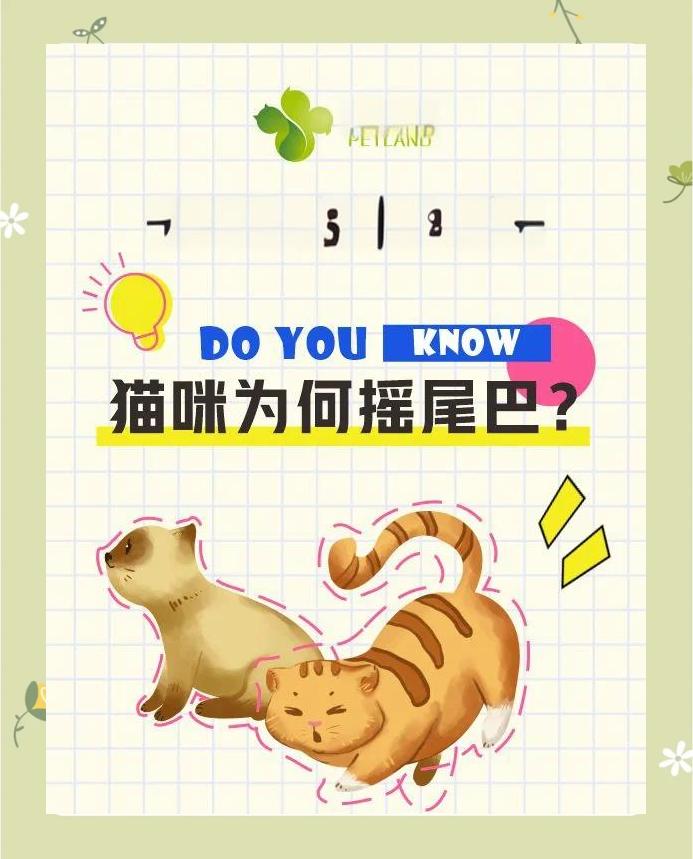 包含子宇被打脸？韩旭：不要被影响情绪和心态很多人会对她做小动作的词条